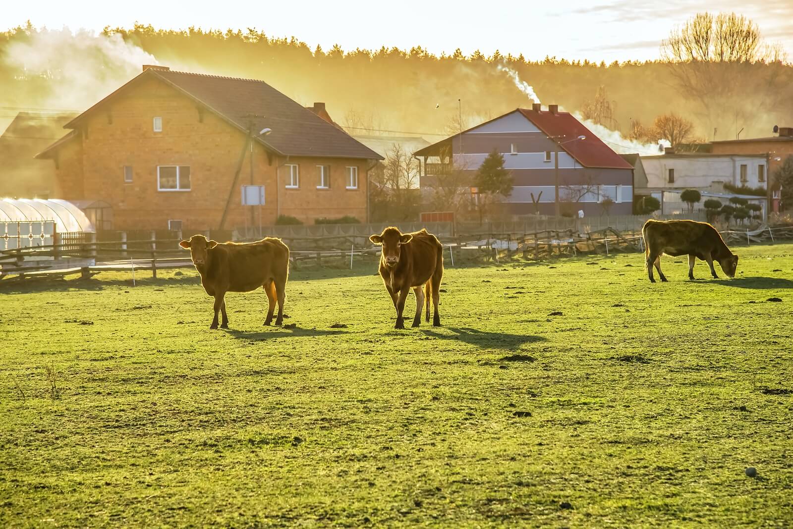 farms-for-sale-what-you-need-to-know-before-you-buy-a-farm