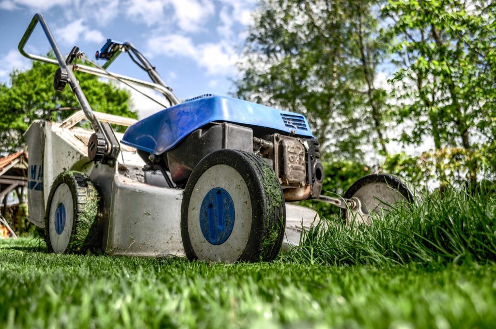 Easy Tips On Early Spring Lawn Care - Karin Carr